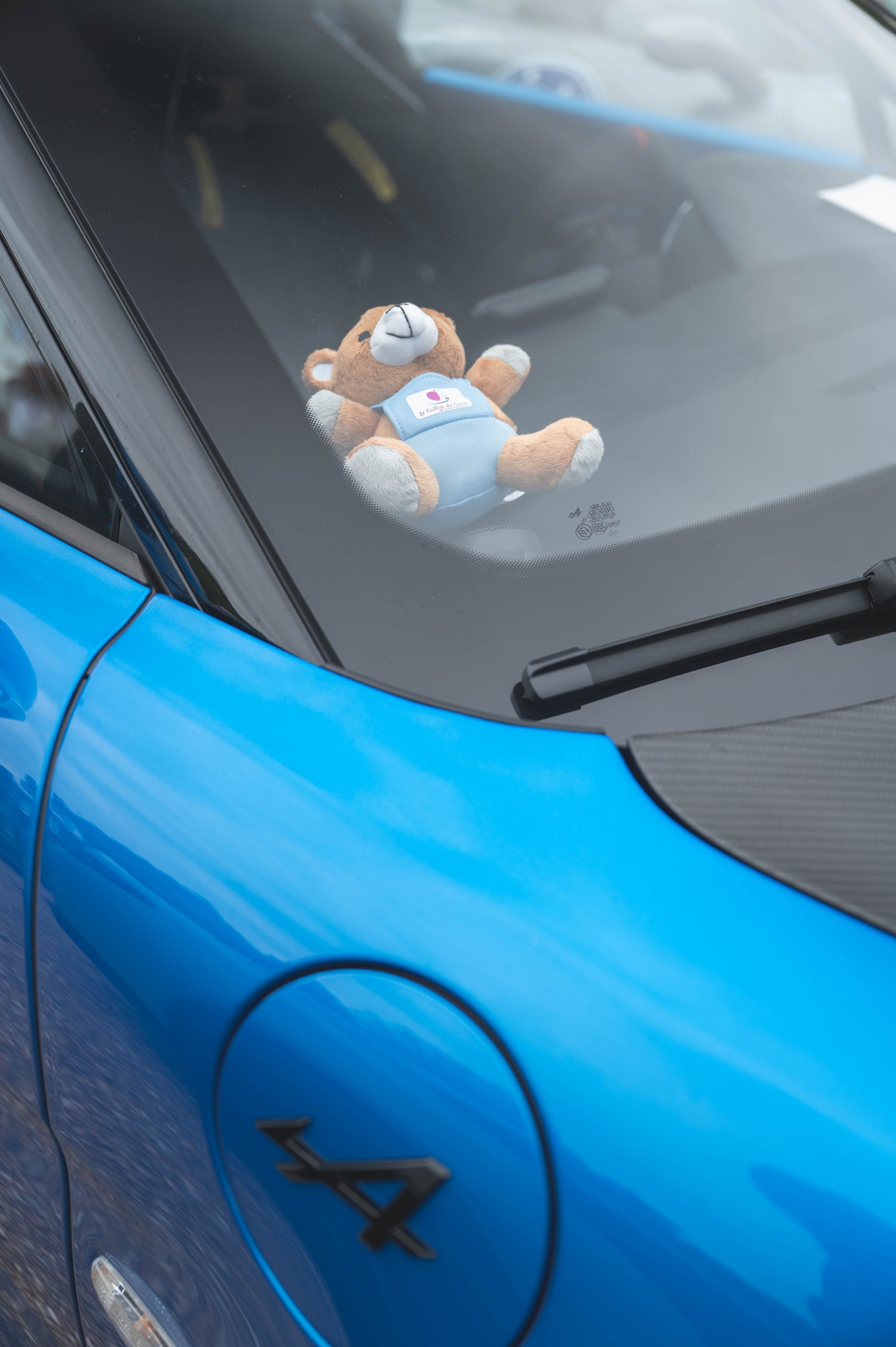Rallye Du Coeur Nantes Les Alpinistes Peaphotos 2024 A110 62 | Le Rallye Du Coeur Nantes 2024