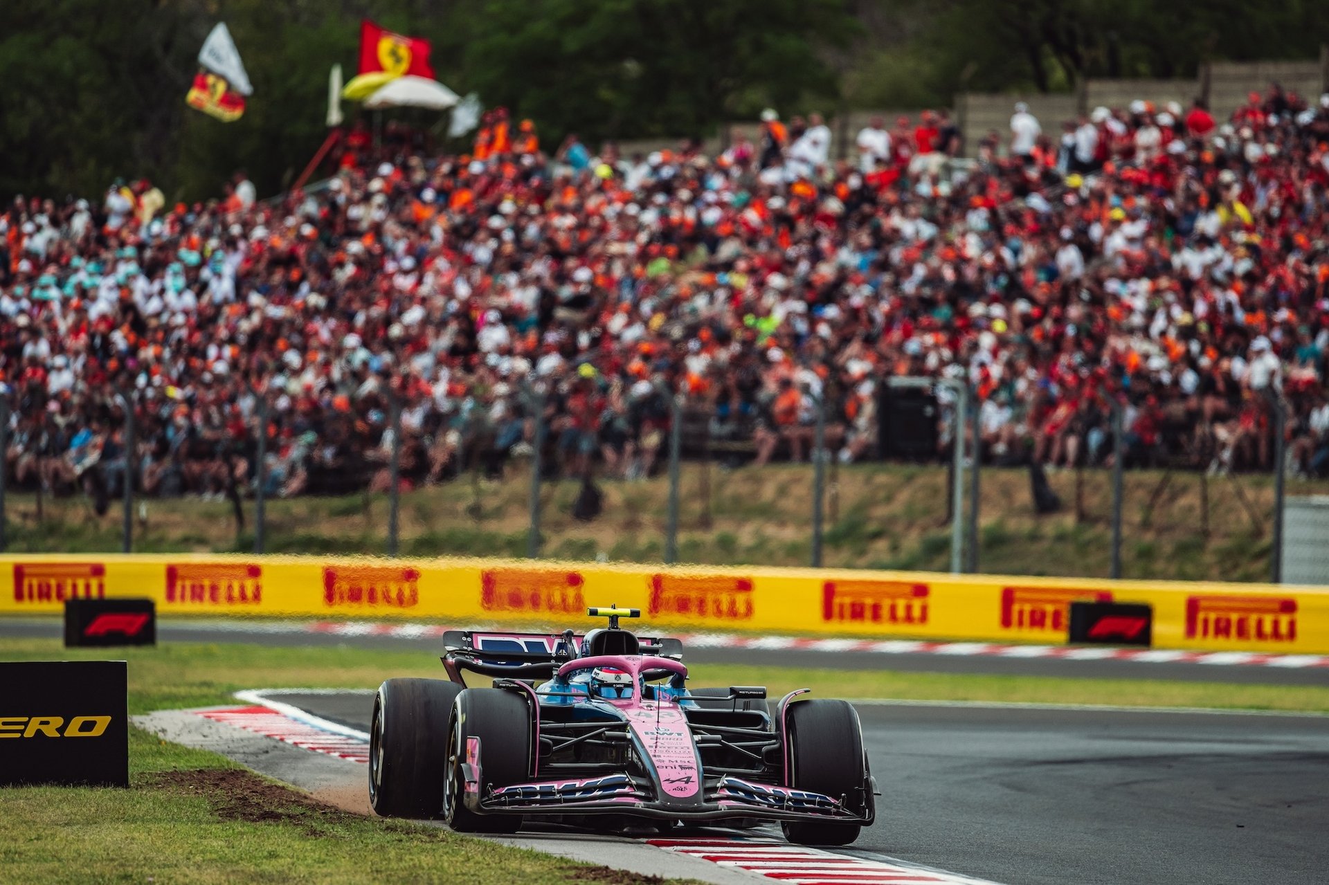 Bwt Alpine Formula One Team Pierre Gasly Franco Colapinto A525 Hongrie Course 2025 F1