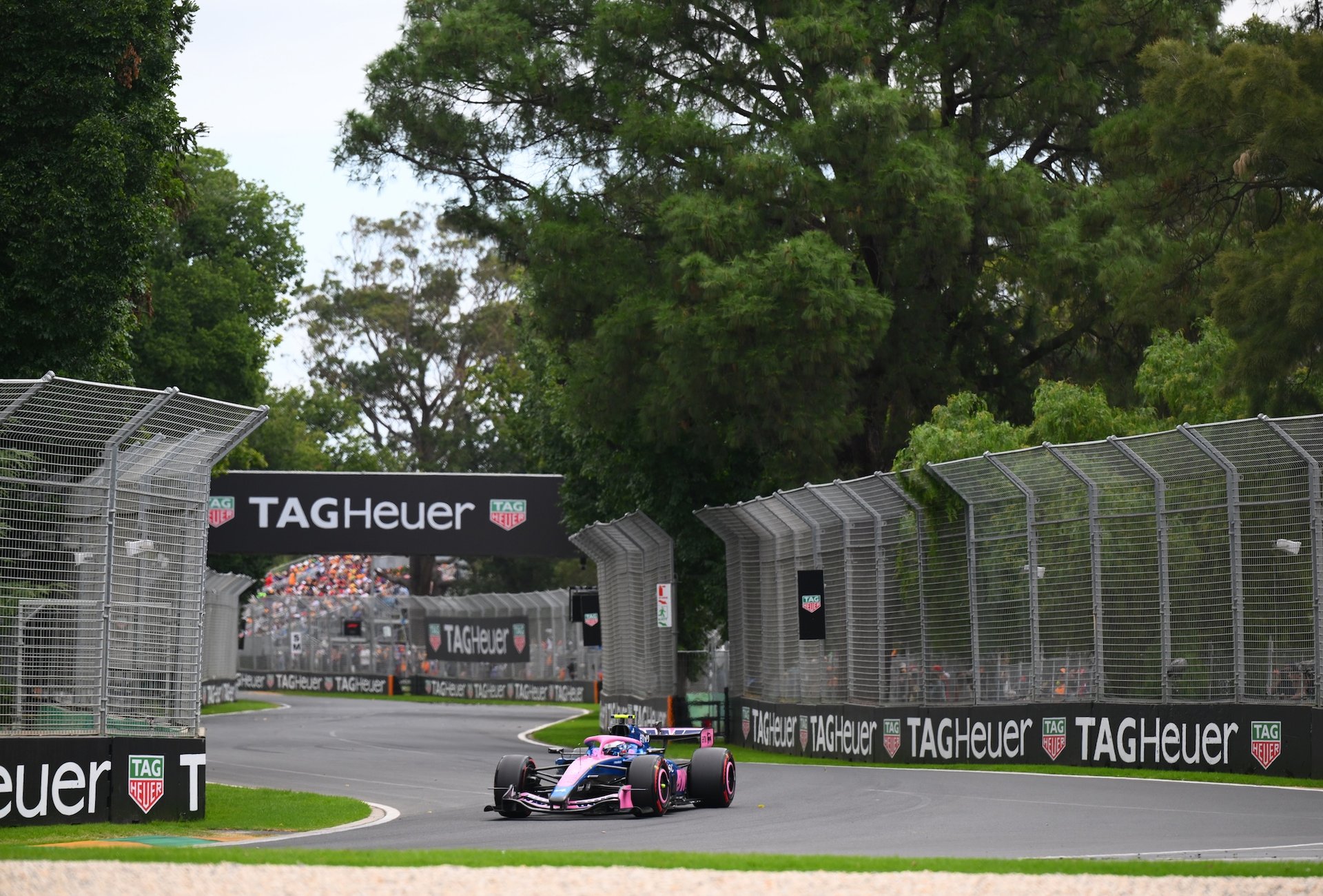 Bwt Alpine Formula One Team – El3 En Progrès Relatif, Qualifications Sans Réponse : À Melbourne, Enstone Doit Déjà Rendre Des Comptes 16 Melbourne, Australia - March 07: Franco Colapinto Of Argentina Driving The (43) Alpine F1 A526 Mercedes On Track During Qualifying Ahead Of The F1 Grand Prix Of Australia At Albert Park Grand Prix Circuit On March 07, 2026 In Melbourne, Australia. (Photo By Simon Galloway/Lat Images)